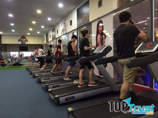 Phòng Tập Gym King Fitness