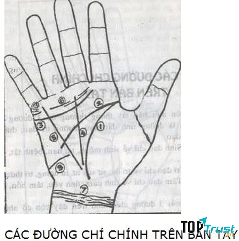 1. Đường sinh đạo; 2. Đường trí đạo; 3. Đường tâm đạo