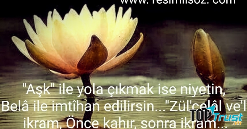 Hình ảnh trên web