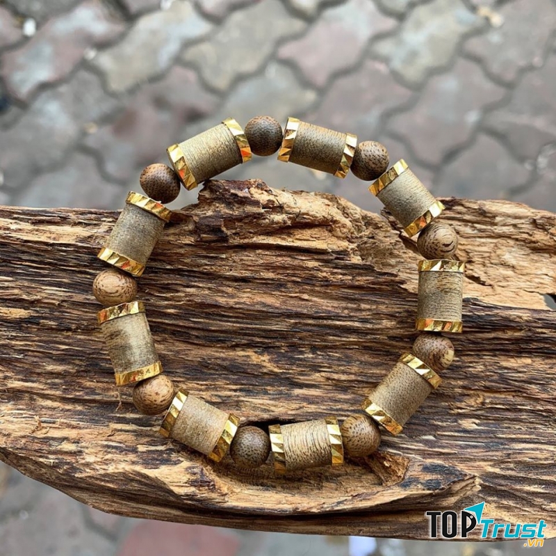 Phong Thủy Sen Việt