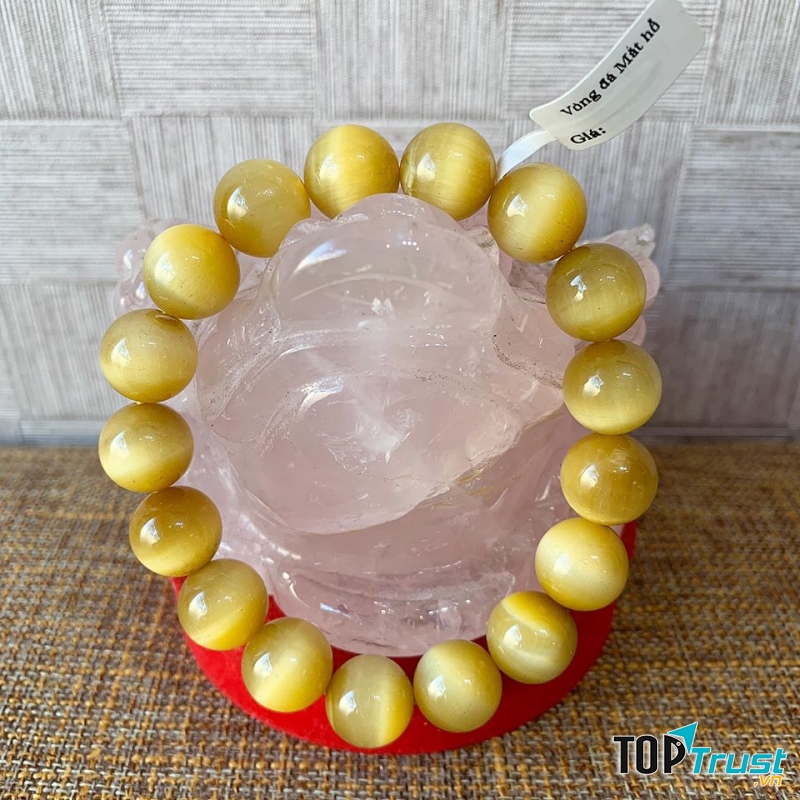 Phong Thủy Sen Việt