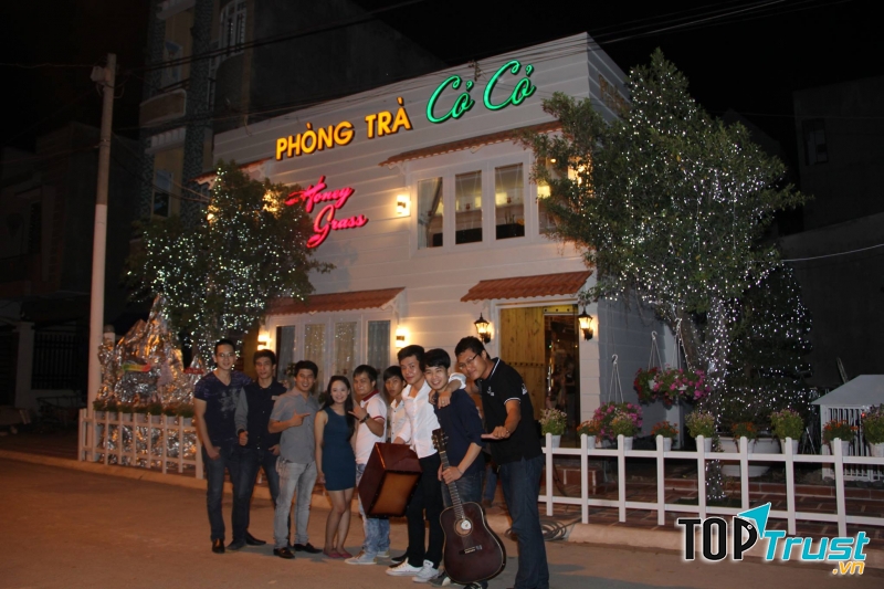Phòng trà Cỏ Cỏ