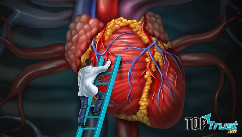 Phòng tránh nguy cơ mắc bệnh về tim mạch và hạn chế các chứng đột quỵ