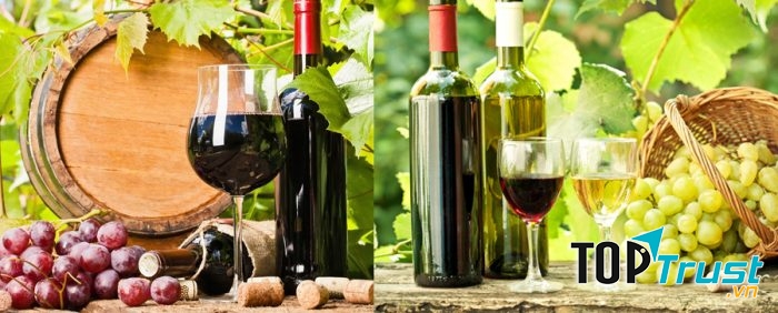 Phòng tránh nguy cơ mắc bệnh về tim mạch và hạn chế các chứng đột quỵ