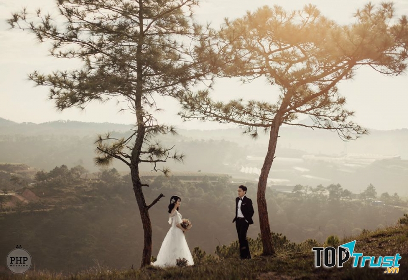 PHP Wedding