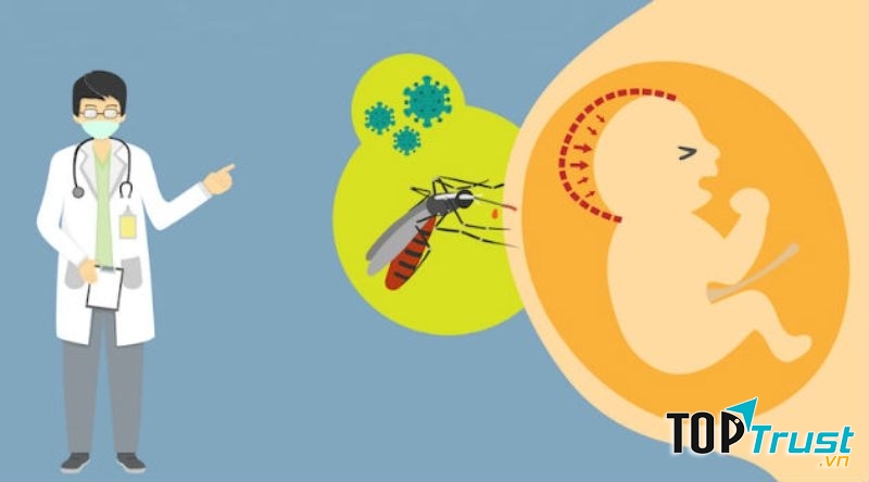 Phụ nữ mang thai nhiễm virus Zika gặp nguy hiểm gì?