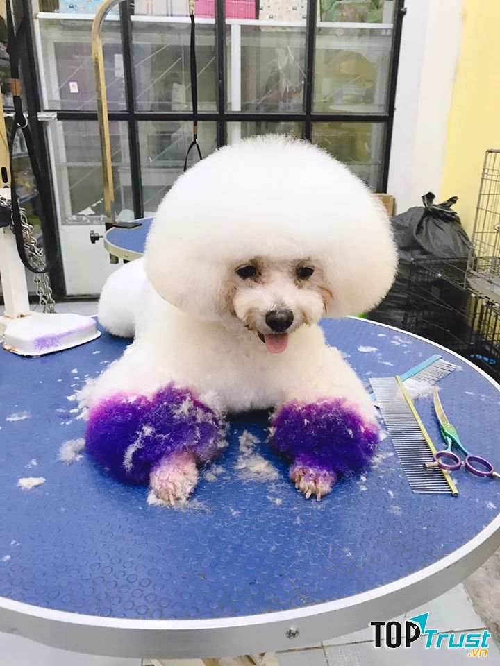 Phú Spa