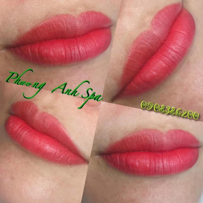 Phương Anh Academy