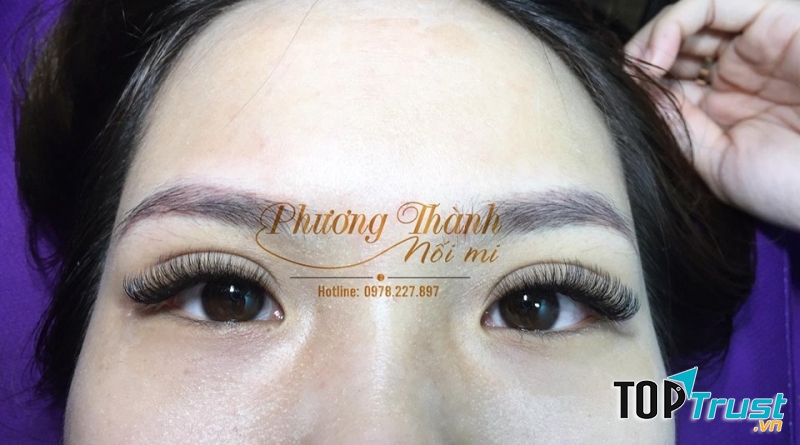 Phương Thành Nối Mi