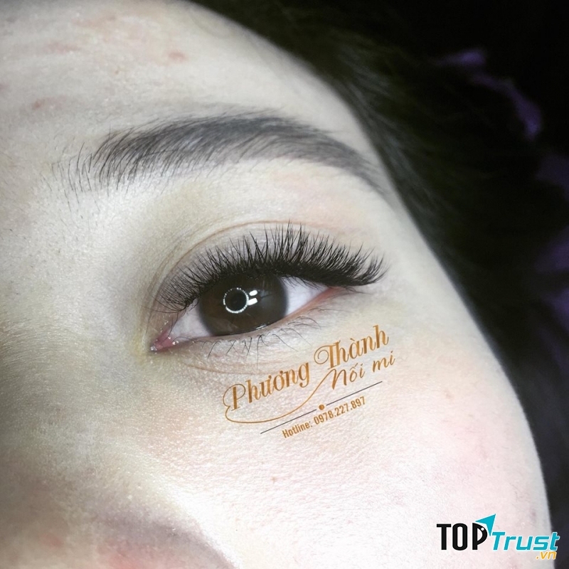 Phương Thành Nối Mi