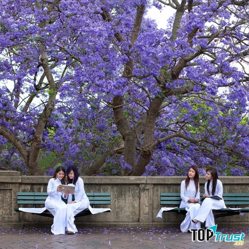 Ảnh minh họa (nguồn internet)