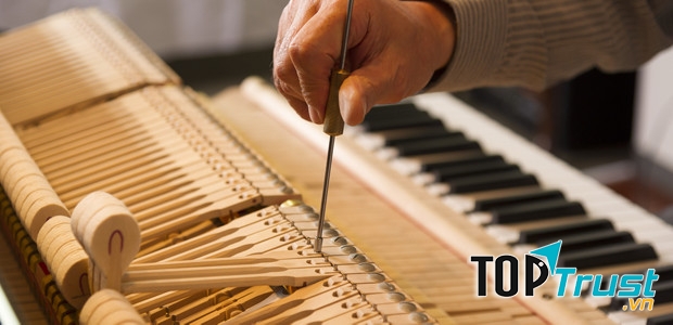 Ảnh minh họa (Nguồn internet)