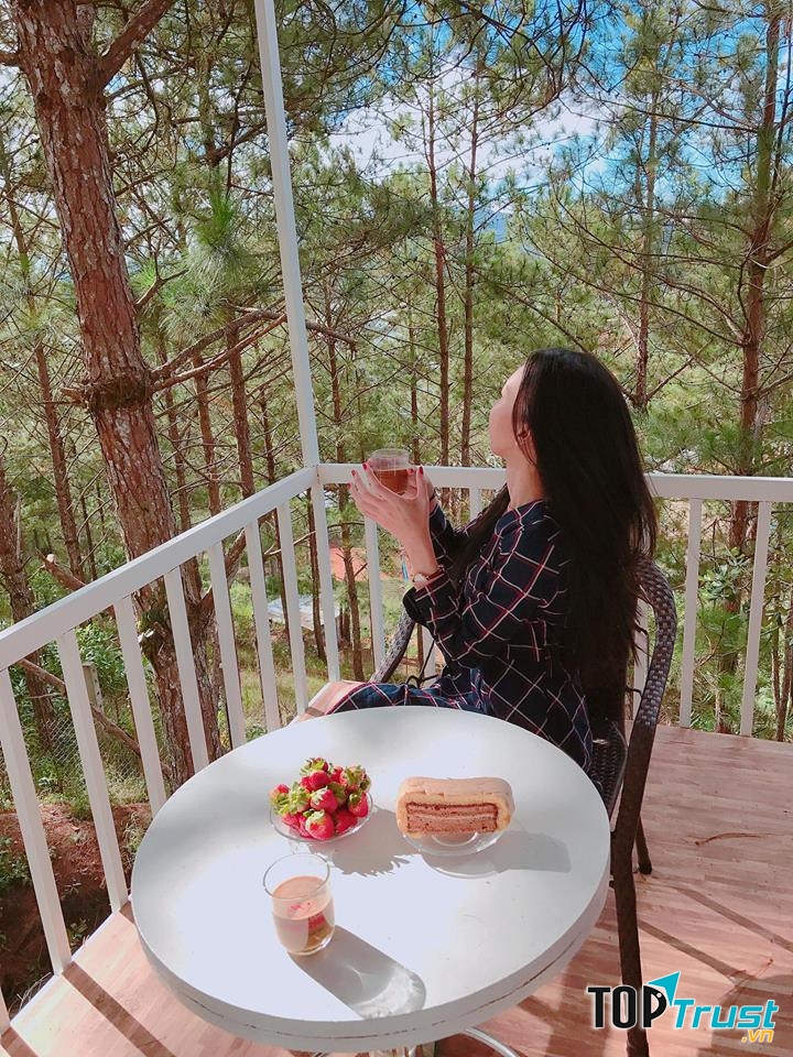 Pine Hill Homestay