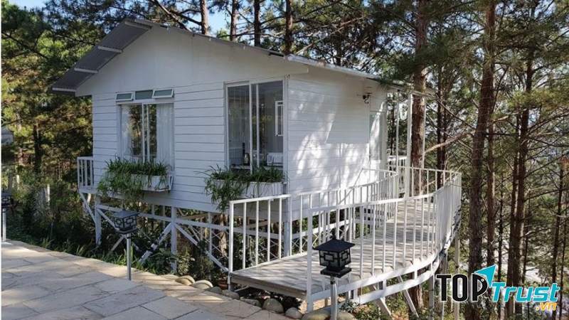 Pine Hill Homestay