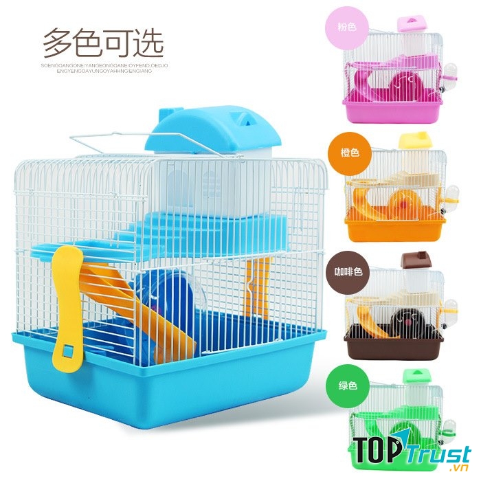 Một số mẫu lồng