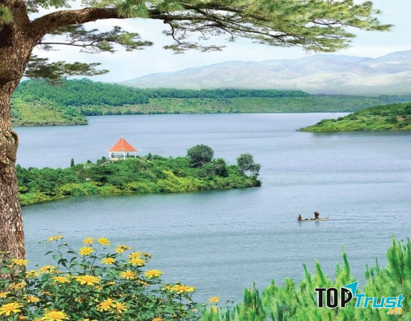 Đến đây vào tháng 11, du khách còn có cơ hội chiêm ngưỡng hoa dã quỳ vàng rực