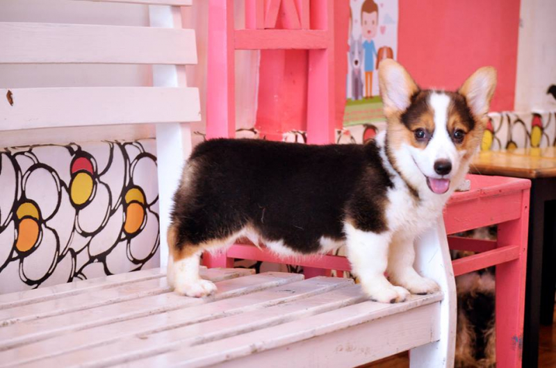 Không gian lý tưởng cho hội sống ảo