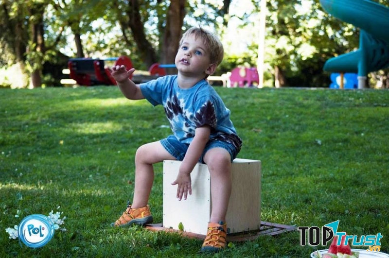 Polaris Art & Music school