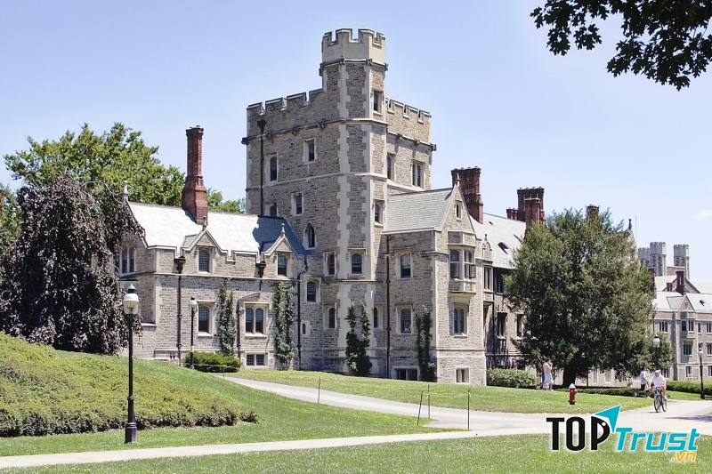 Đại học Princeton