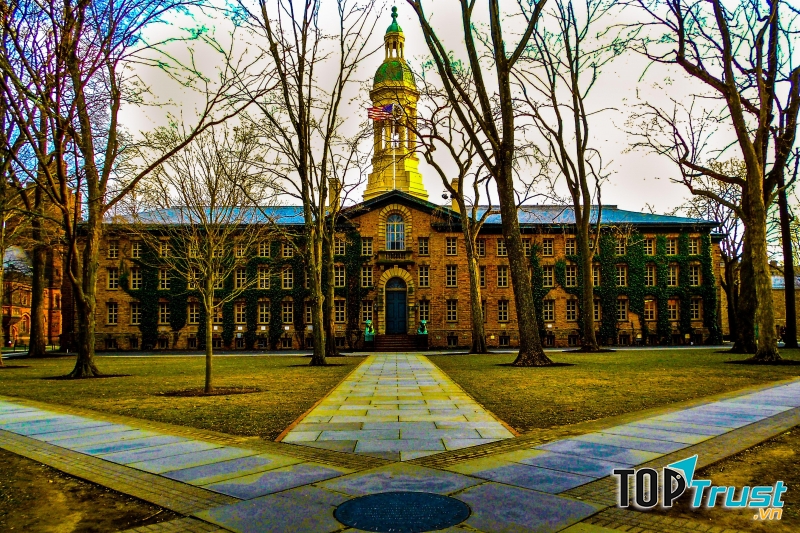 Princeton University