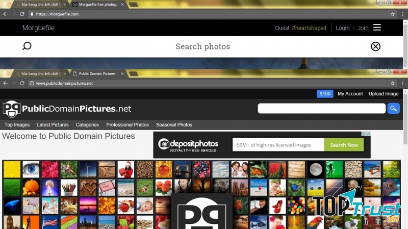 Public Domain Pictures