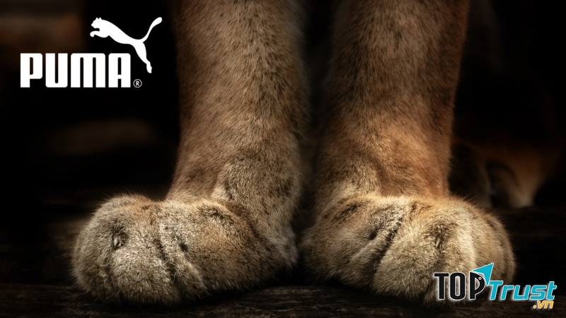 Mang tinh thần Đức, Puma luôn hướng tới sự nhanh nhẹn, mạnh mẽ như loài báo