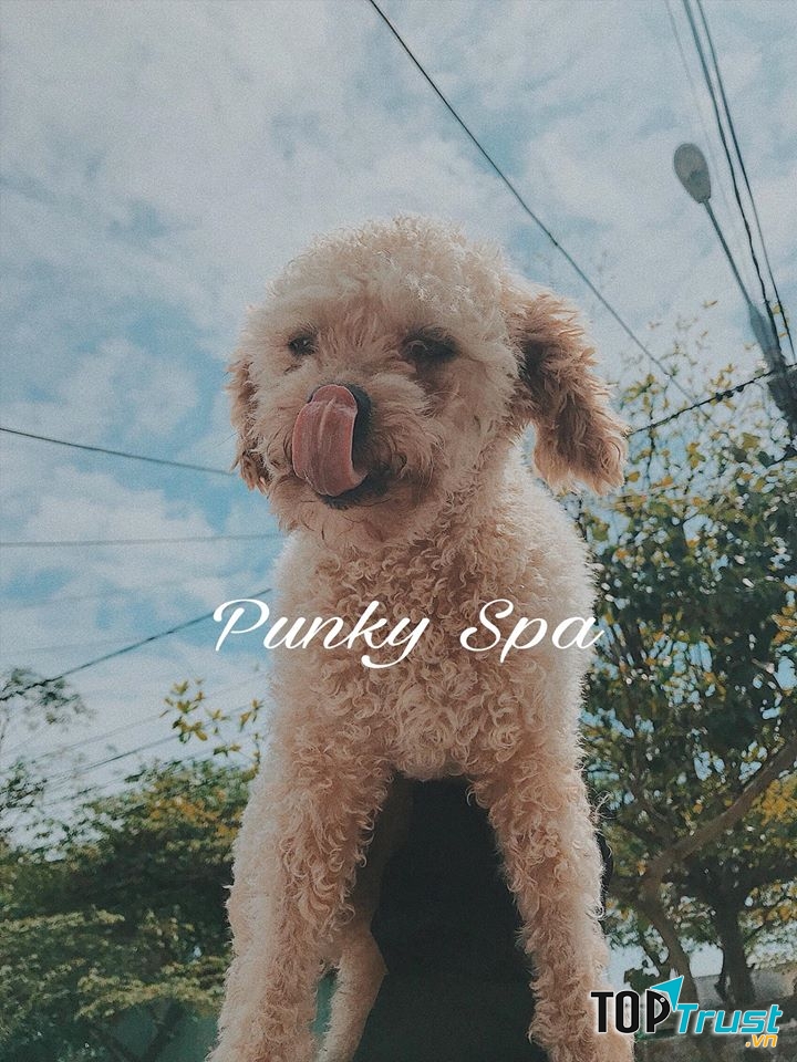 Punky Spa