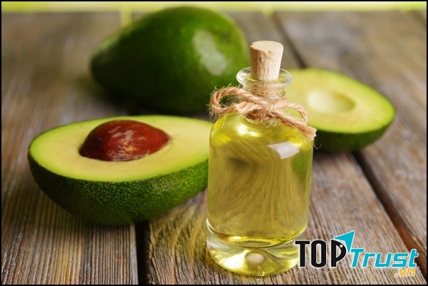 Bơ là nguồn phong phú các hợp chất thực vật quan trọng, tốt cho việc phòng chống ung thư