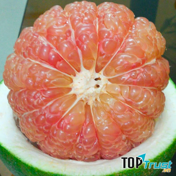 Quả bưởi