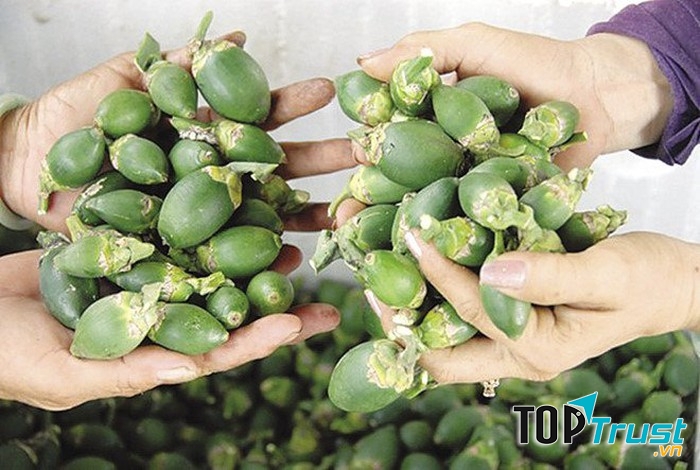 Cách giải rượu bằng cau tươi