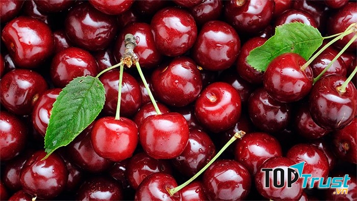 Quả Cherry