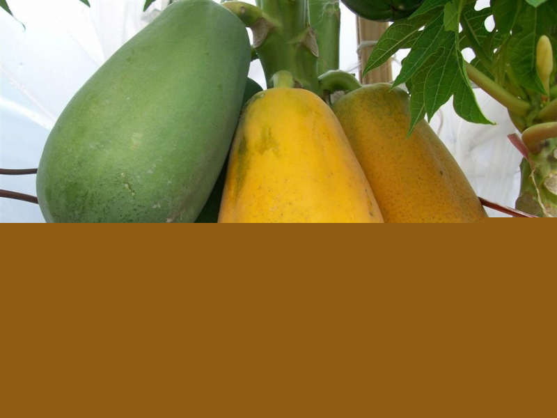 Ảnh minh họa - nguồn internet