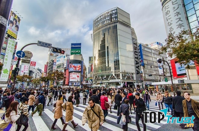 Shibuya (Ảnh: Thousandwonders)