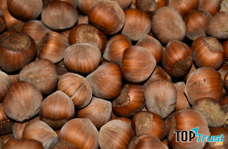 Ảnh minh họa - nguồn internet