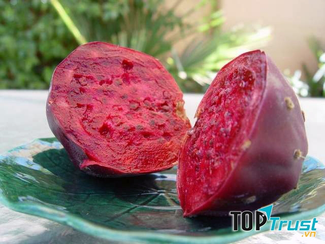 Ảnh minh họa - nguồn internet