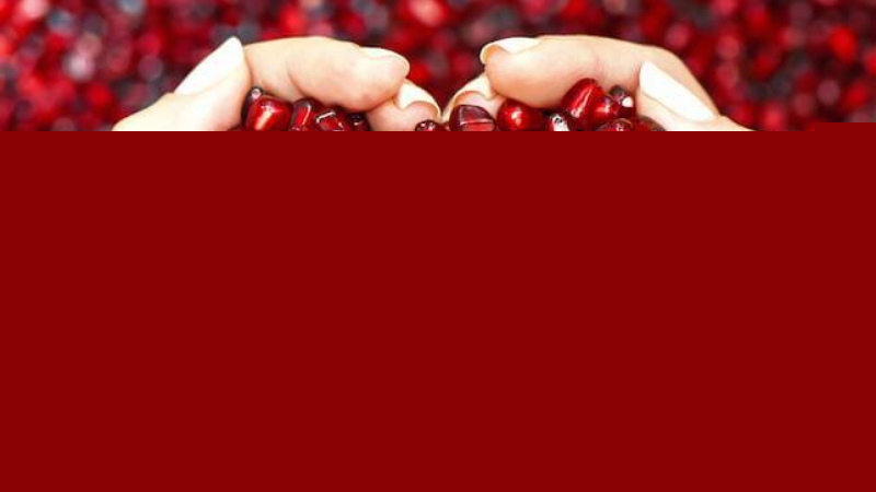 Ảnh minh họa - nguồn internet