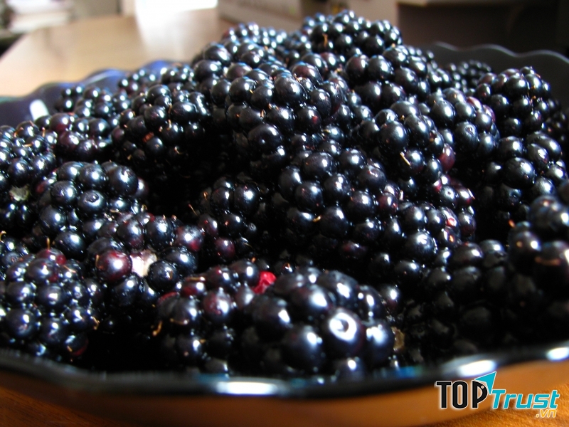 Quả mâm xôi đen