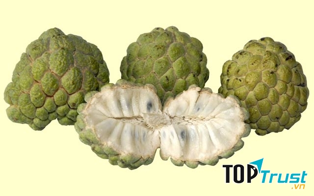 Mãng cầu lúc ủ chín rồi trở nên mềm và có mùi thơm, dễ lột vỏ.