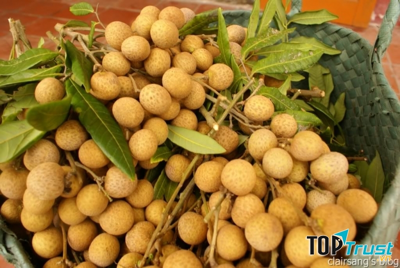 Ăn nhiều nhãn sẽ tăng nóng trong