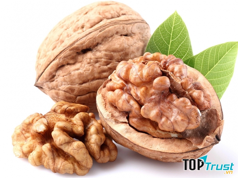 Quả óc chó - Thực phẩm tốt cho người bị bệnh gan