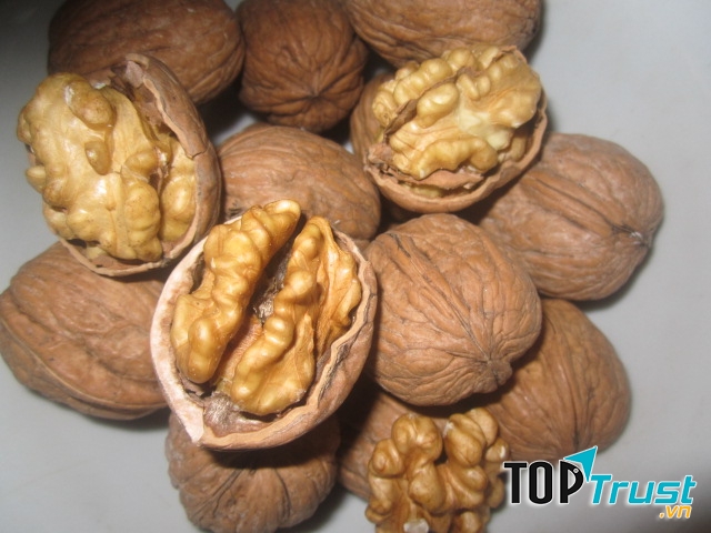 Quả óc chó chứa thành phần đẩy lùi dấu hiệu lão hoá da