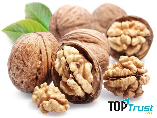 Quả óc chó được coi là vua của các loại hạt cho lợi ích sức khỏe và sắc đẹp mà chúng mang lại.