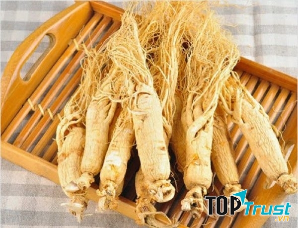 Nhân sâm là vị thuốc quý tăng cường sinh lực phái mạnh