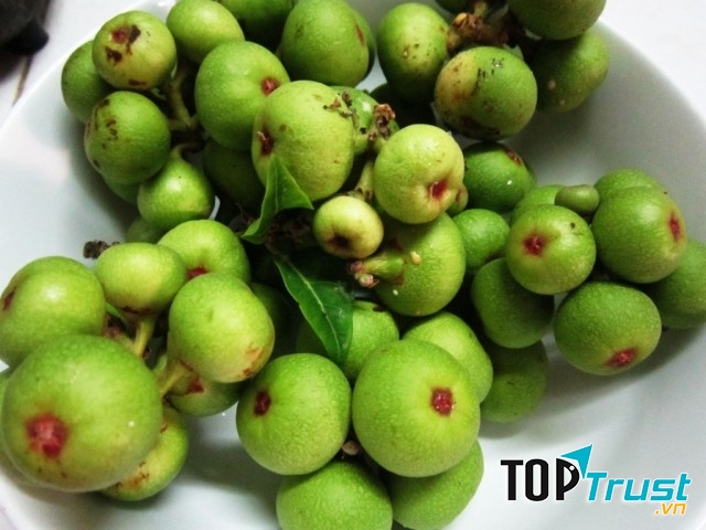 Sung như một loại thuốc kích dục tự nhiên
