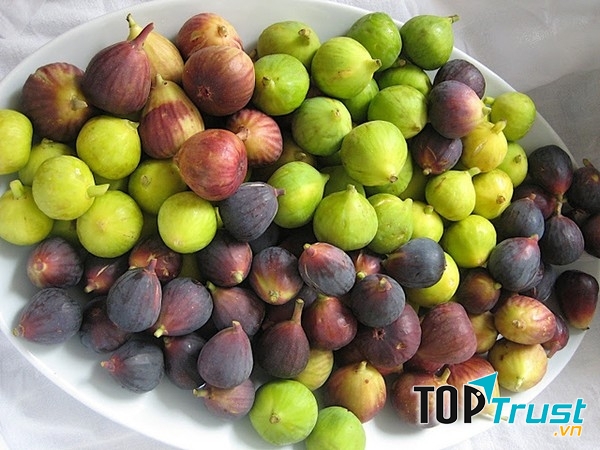 Sung và đào thường không bày bán phổ biến