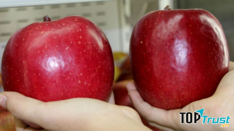 Quả Táo