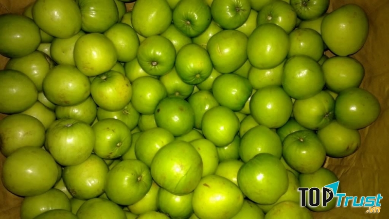 Táo tốt cho sức khỏe