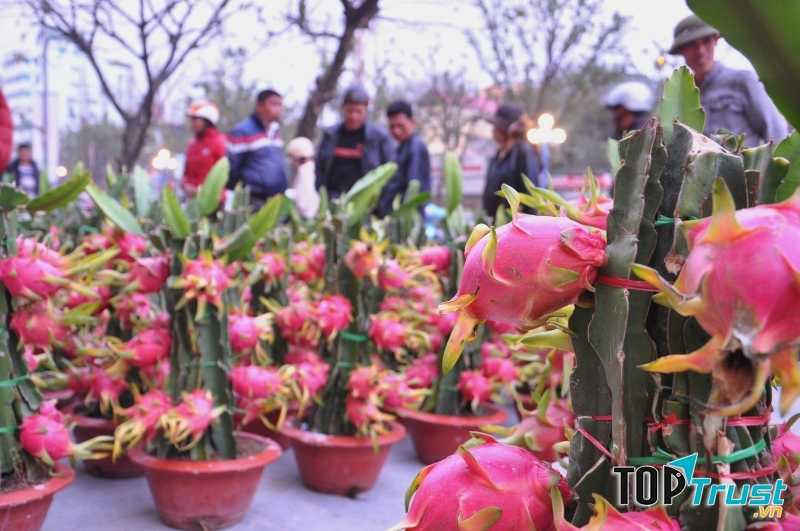 Tượng trưng cho hình ảnh rồng phi lên trời.