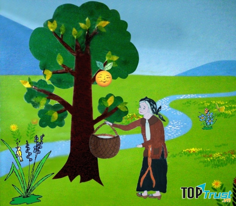 Thị thị rụng bị bà