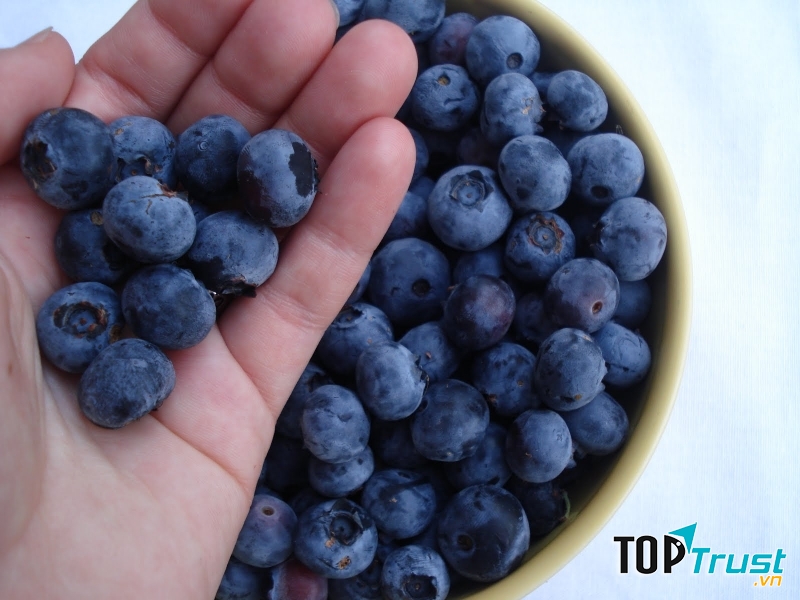 Quả Việt quất (Blueberries) rất tốt cho não